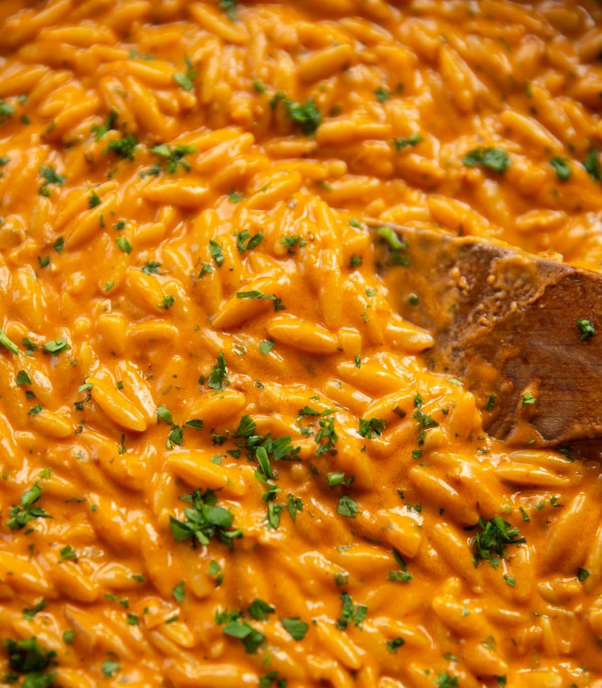 'Nduja Orzo with Creamy Parmesan Sauce